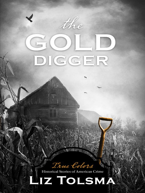 Title details for The Gold Digger by Liz Tolsma - Wait list